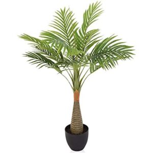 Bottle Palm Modern Plant with Pot